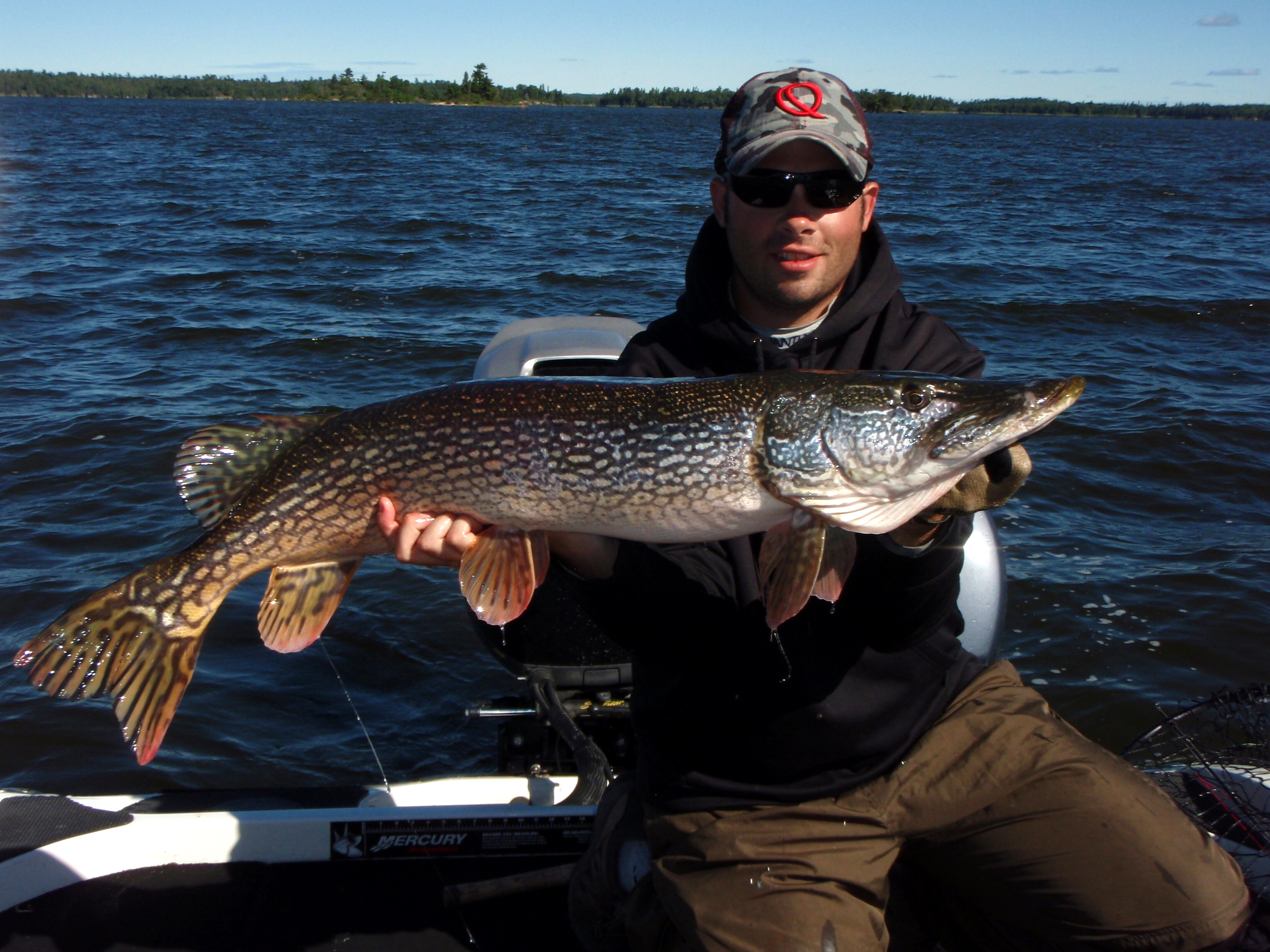 Northern Pike on the Cooldown – Andrew Ragas Fishing
